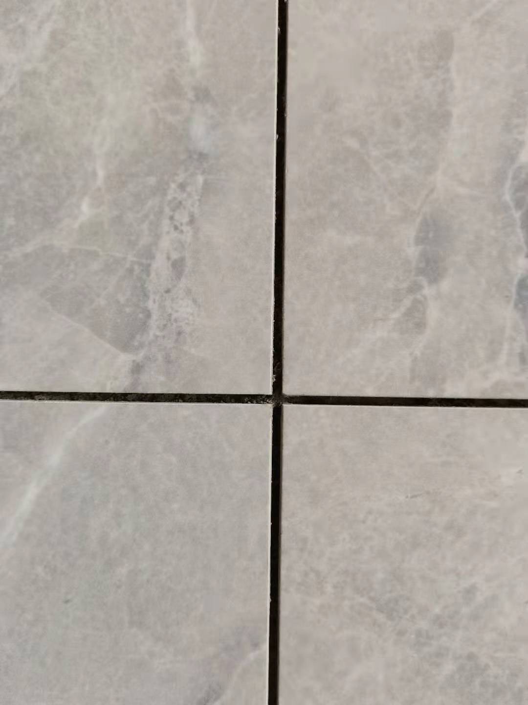 231EAE07FB8E049713BEBAB2101D9CDD